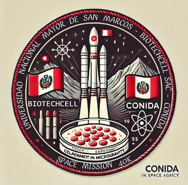 Descripción de la imagen